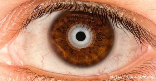 三D打印仿生技術(shù)取得新打破，仿生眼球，仿生脊柱或?qū)?wèn)世