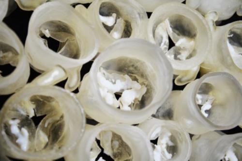 3D打印技術應用到受損心臟領域 千萬患者的福音