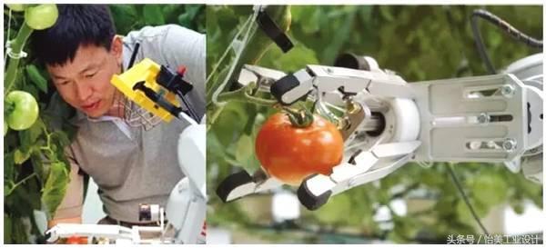 工業機器人“當家作主”，食品加工自動化成趨勢？